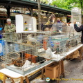 The Marché aux oiseaux only operates on Sundays